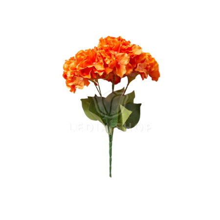 55786.jpg